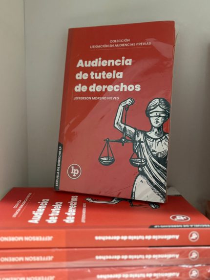 AUDIENCIA DE TUTELA DE DERECHOS