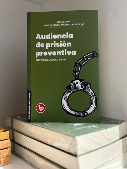 AUDIENCIA DE PRISIÓN  PREVENTIVA