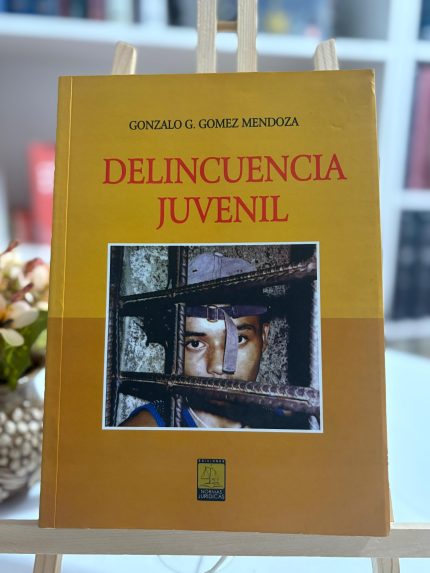DELINCUENCIA JUVENIL