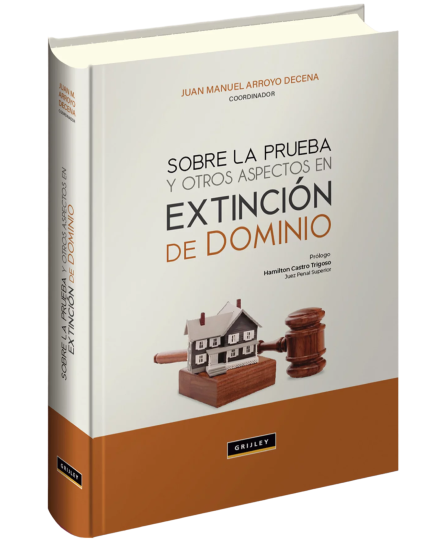 SOBRE LA PRUEBA Y OTROS ASPECTOS EN EXTINCIÓN DE DOMINIO