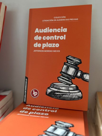 AUDIENCIA DE CONTROL DE PLAZO