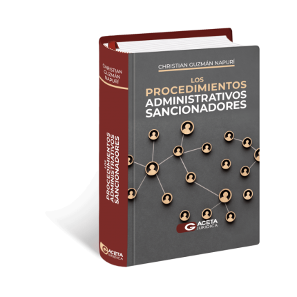 LOS PROCEDIMIENTOS ADMINISTRATIVOS SANCIONADORES.