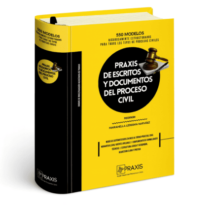 Praxis de escritos y documentos del proceso civil.