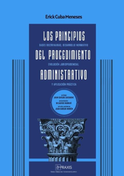 LOS PRINCIPIOS DEL PROCEDIMIENTO ADMINISTRATIVO
