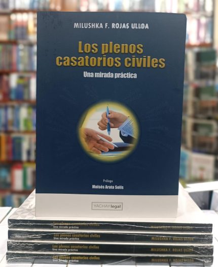LOS PLENOS CASATORIOS CIVILES una mirada práctica